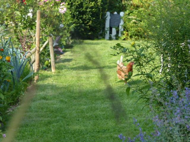 شقة Le Jardin Du Rossignol Willeman المظهر الخارجي الصورة